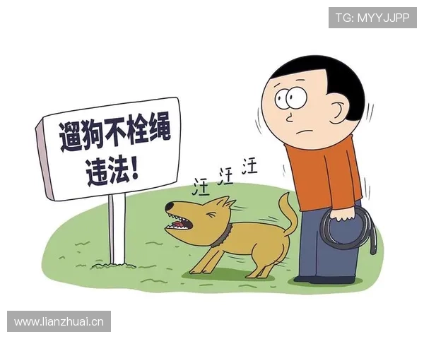 追加处罚规则如何判定？这些细节你必须知道